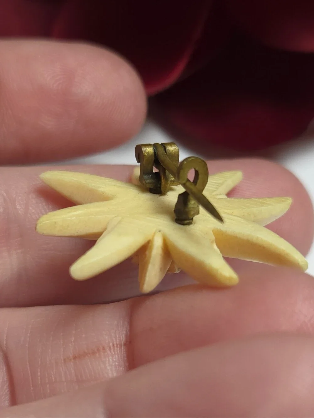 Vintage Antique Edelweiss Carved Celluliod Flower Brooch Old T Pin Brooch